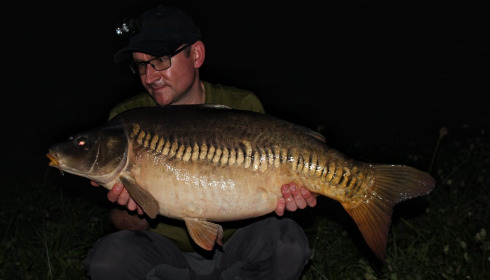 A carp from Laroussi, Oct 2024