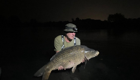 A carp from Laroussi, Jun 2025