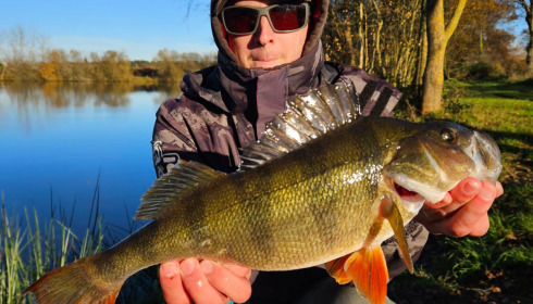 A carp from Laroussi, Dec 2024