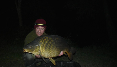 A carp from Laroussi, Oct 2024