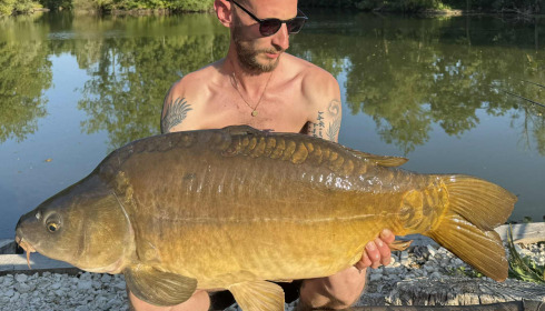 A carp from Le Repaire, Oct 2025