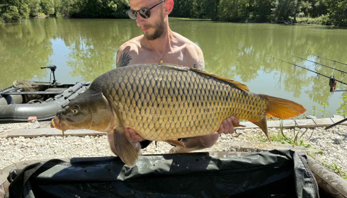 A carp from Le Repaire, Oct 2025