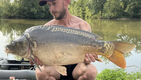 A carp from Le Repaire, Oct 2025