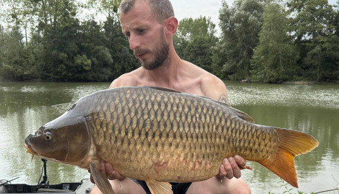 A carp from Le Repaire, Oct 2025