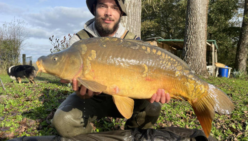 A carp from Le Repaire, Oct 2025
