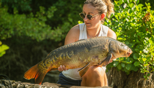 A carp from Le Repaire, Oct 2025