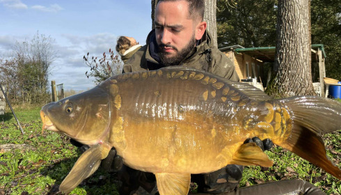 A carp from Le Repaire, Oct 2025