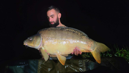 A carp from Le Repaire, Oct 2025