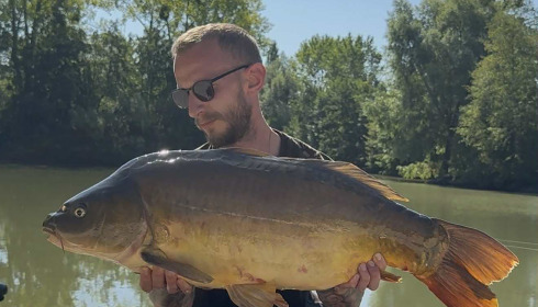 A carp from Le Repaire, Oct 2025