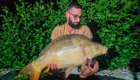 A carp from Le Repaire, Oct 2025