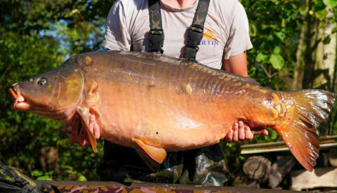 A 47 lb 3 oz carp from Le Repaire, New stock, Oct 2025