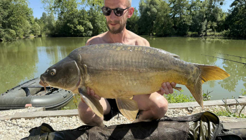 A carp from Le Repaire, Oct 2025