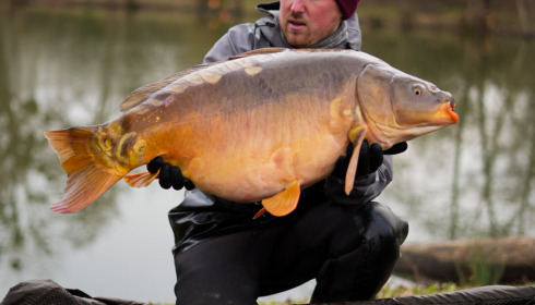 A carp from Le Repaire, Oct 2025
