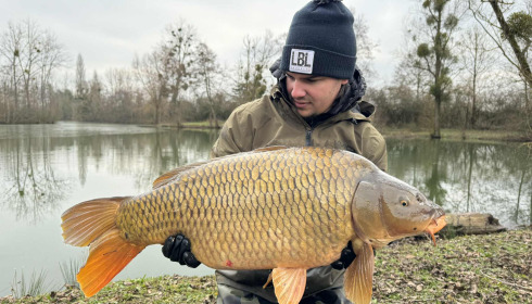 A carp from Le Repaire, Oct 2025