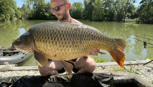 A carp from Le Repaire, Oct 2025