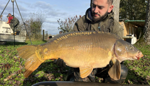 A carp from Le Repaire, Oct 2025