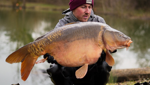 A carp from Le Repaire, Oct 2025