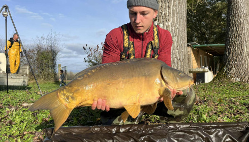 A carp from Le Repaire, Oct 2025
