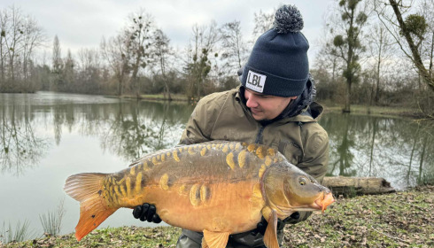 A carp from Le Repaire, Oct 2025