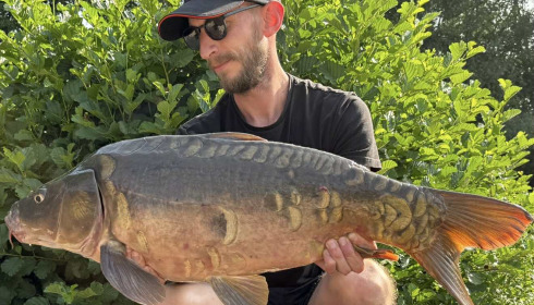 A carp from Le Repaire, Oct 2025