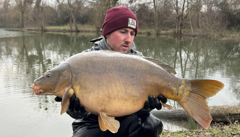 A carp from Le Repaire, Oct 2025