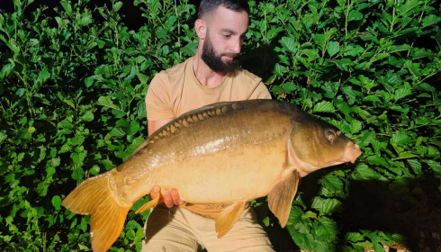 A carp from Le Repaire, Oct 2025
