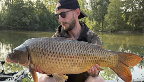 A carp from Le Repaire, Oct 2025