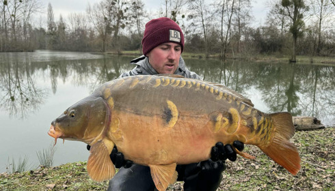A carp from Le Repaire, Oct 2025