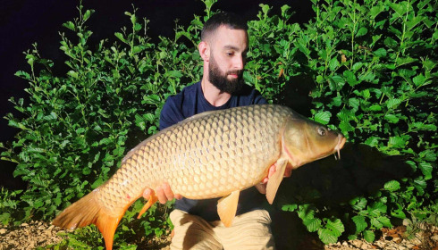 A carp from Le Repaire, Oct 2025