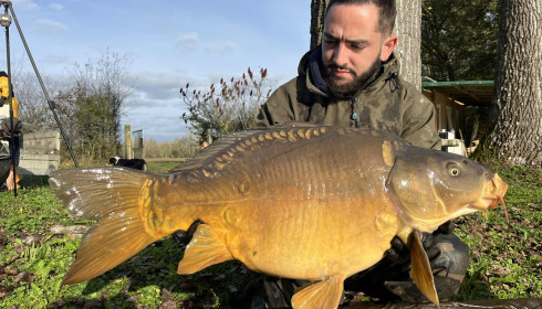 A carp from Le Repaire, Oct 2025