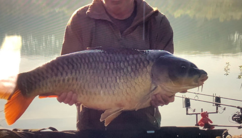 A 36 lb fish from Lepinet North, 36 common, Apr 2024