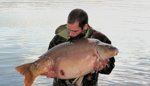 A 39 lb fish from Lepinet North, Mirror carp, Sep 2024