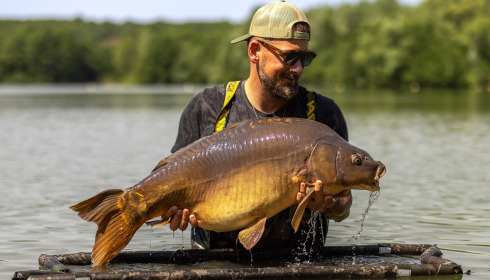 A carp from Lepinet North, Aug 2025