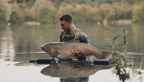 A carp from Lepinet North, Jul 2024
