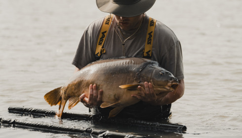 A carp from Lepinet North, Jul 2024