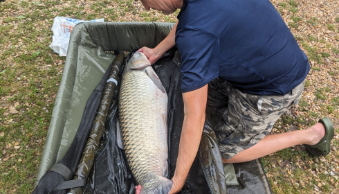 A 40 lb 15 oz grass carp from Lepinet North, Sep 2023