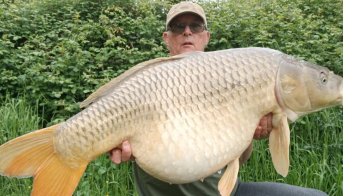 A 46 lb 8 oz carp from Lepinet North, TOMLINSON, May 2025
