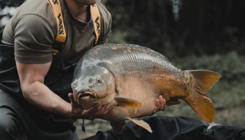 A carp from Lepinet North, Jul 2024