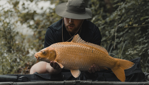 A carp from Lepinet North, Jul 2024