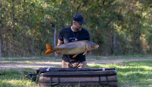 A carp from Lepinet South, Aug 2025
