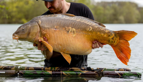 A carp from Lepinet South, Apr 2023