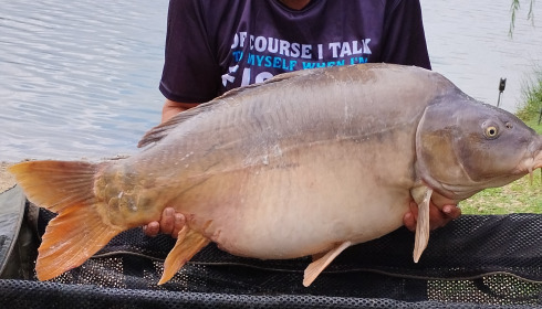 A 47 lb fish from Lepinet South, Caro, Sep 2024