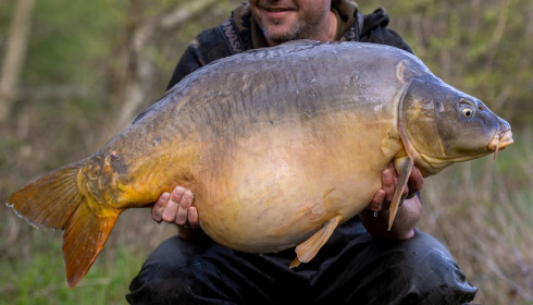 A carp from Lepinet South, Apr 2023