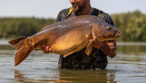A fish from Lepinet South, Aug 2025