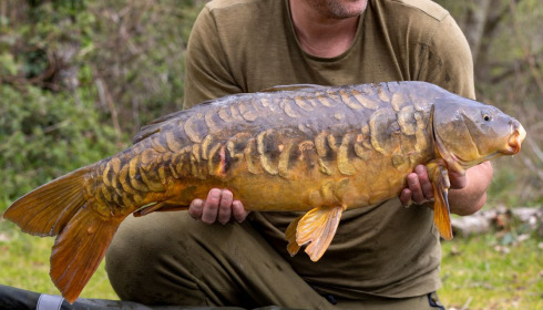 A carp from Lepinet South, Apr 2023