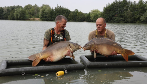 A carp from Lepinet South, Sep 2022