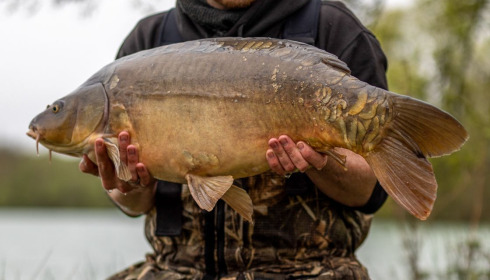 A carp from Lepinet South, Apr 2023
