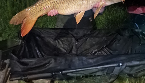 A 33 lb 14 oz fish from Lepinet South, May 2023