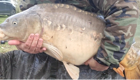 A fish from Lepinet South, Caught him twice I think!, Mar 2024