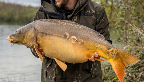 A carp from Lepinet South, Apr 2023